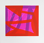 CROSSINGS  2014  50 x 51 cm Silkscreen (edition 30)